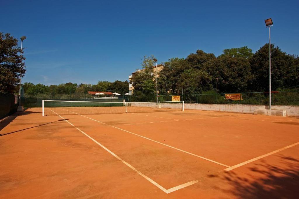 Guesthouse "Barboska" - Big Outdoor Swimming Pool & Private Tennis Court 沃德年 外观 照片