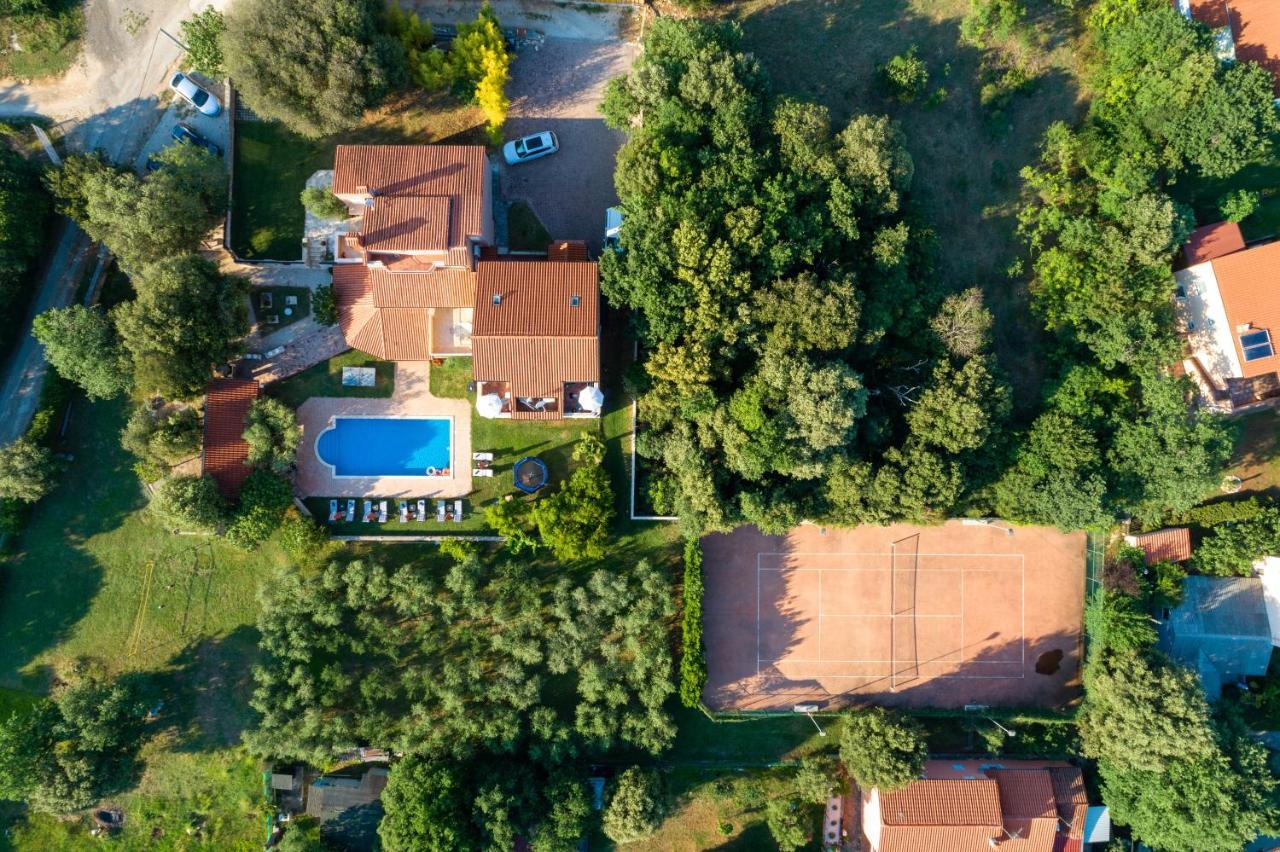 Guesthouse "Barboska" - Big Outdoor Swimming Pool & Private Tennis Court 沃德年 外观 照片