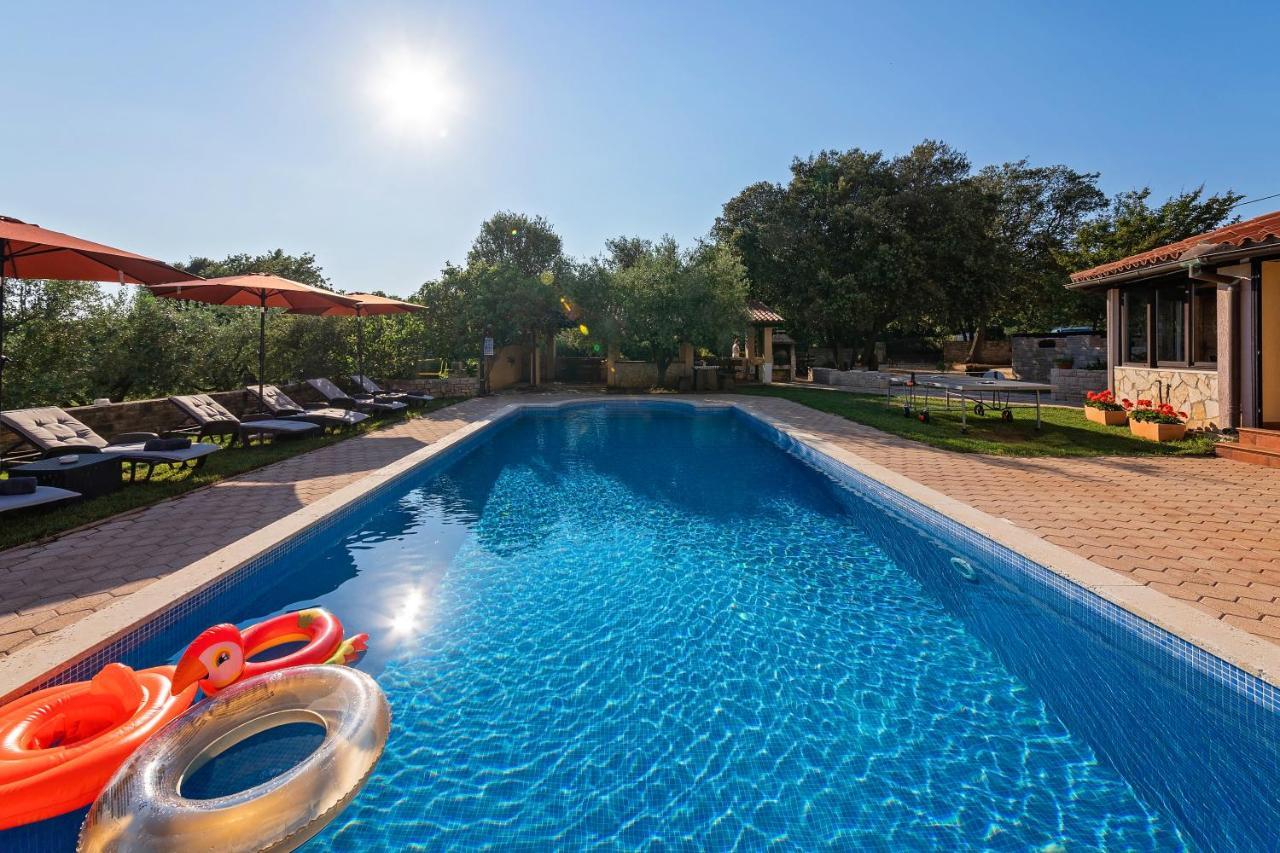 Guesthouse "Barboska" - Big Outdoor Swimming Pool & Private Tennis Court 沃德年 外观 照片