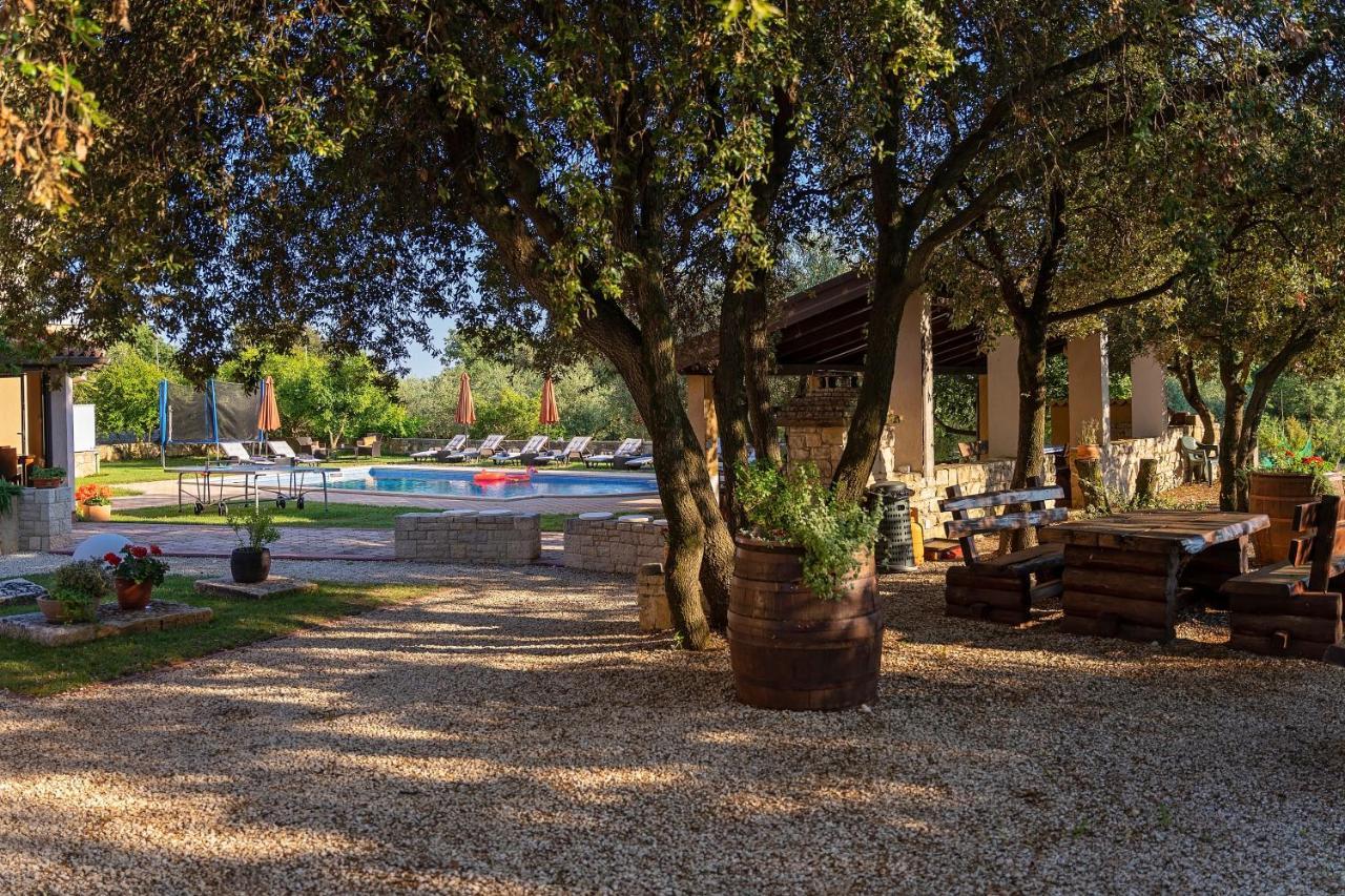 Guesthouse "Barboska" - Big Outdoor Swimming Pool & Private Tennis Court 沃德年 外观 照片