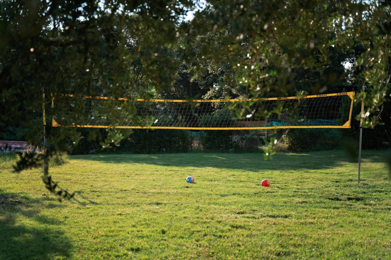 Guesthouse "Barboska" - Big Outdoor Swimming Pool & Private Tennis Court 沃德年 外观 照片