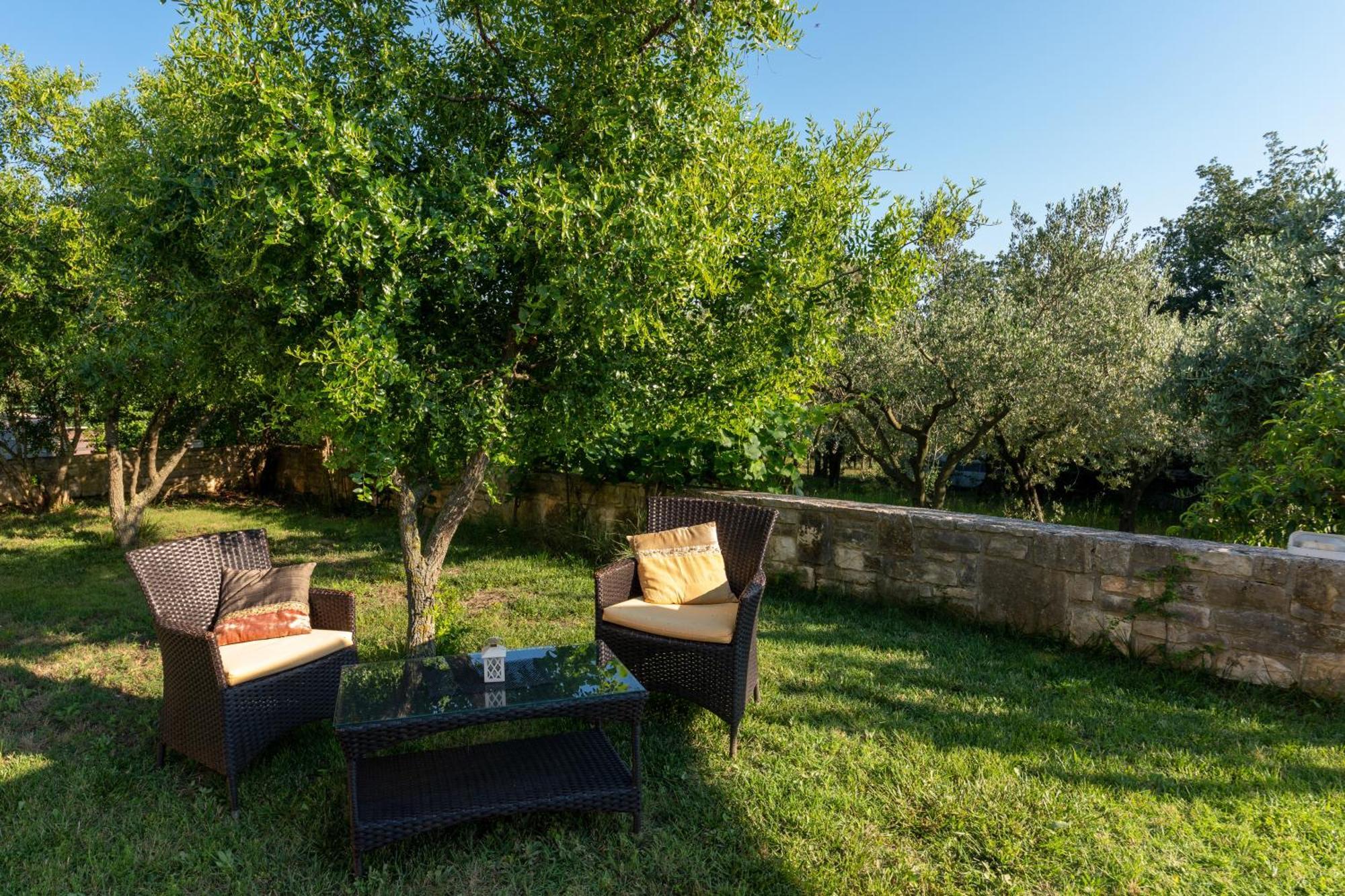 Guesthouse "Barboska" - Big Outdoor Swimming Pool & Private Tennis Court 沃德年 外观 照片