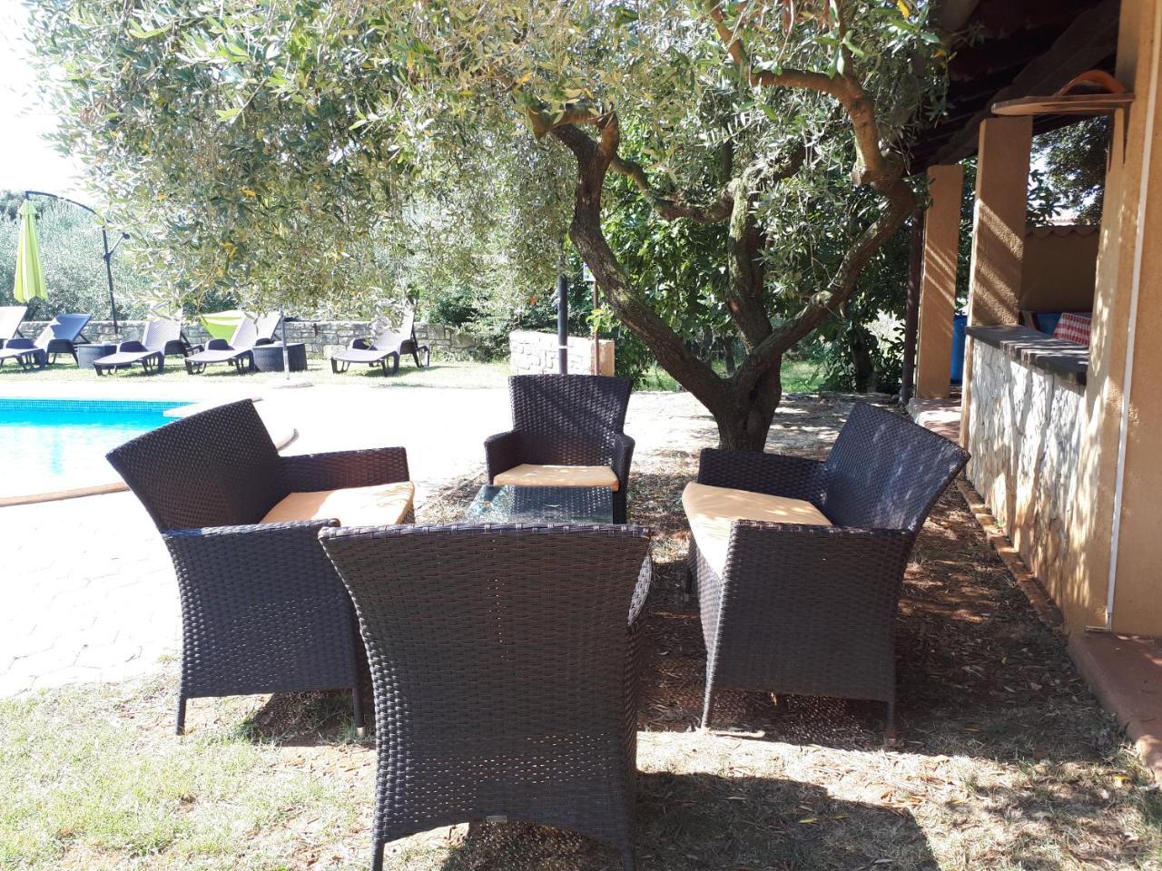 Guesthouse "Barboska" - Big Outdoor Swimming Pool & Private Tennis Court 沃德年 外观 照片